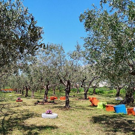 Bed and Breakfast Colline Del Sole San Salvo Exterior foto