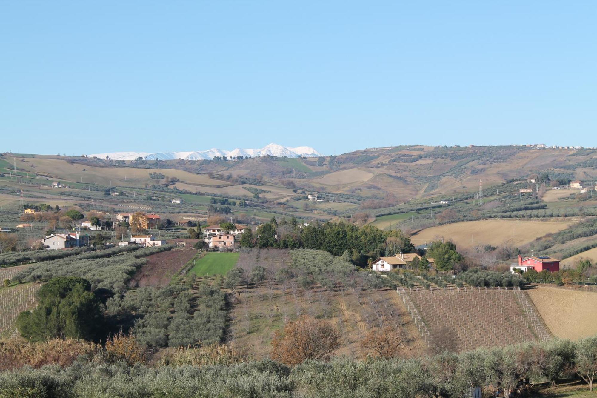 Bed and Breakfast Colline Del Sole San Salvo Exterior foto