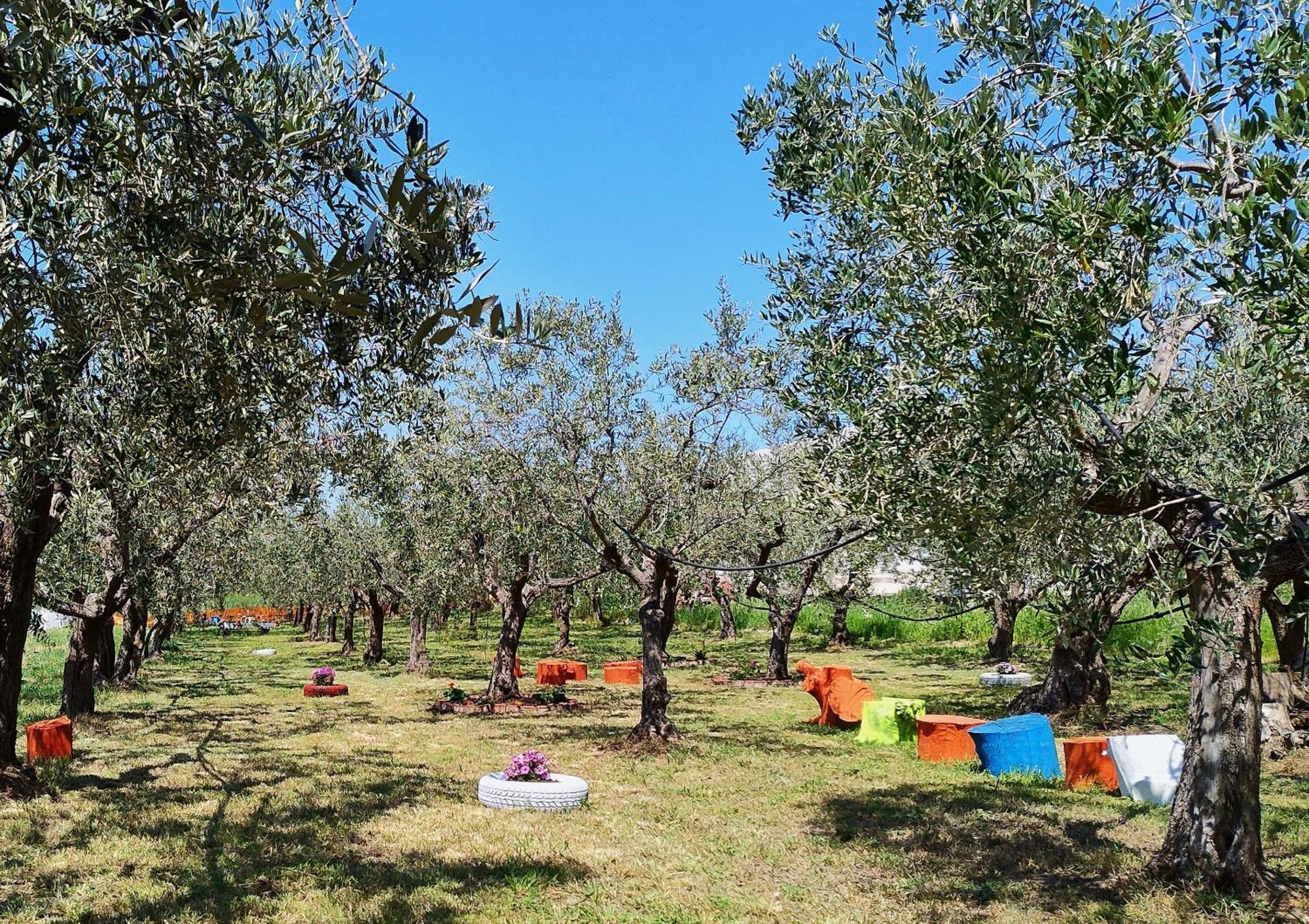 Bed and Breakfast Colline Del Sole San Salvo Exterior foto